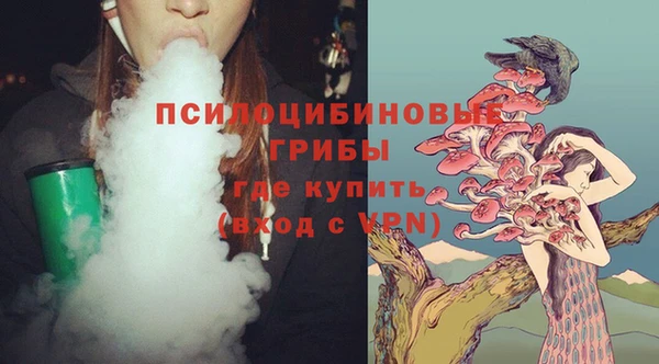 дурь Новокубанск