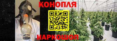 ECSTASY Гатчина