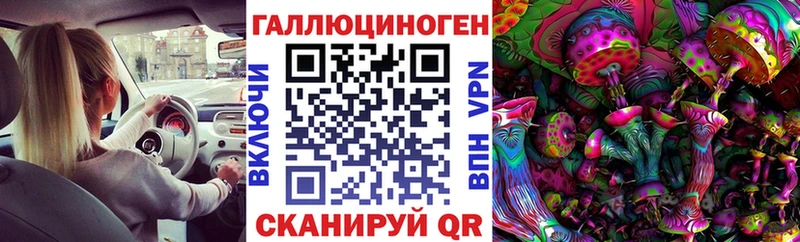 ссылка на мегу ссылка  где купить наркоту  Моздок  Псилоцибиновые грибы прущие грибы 