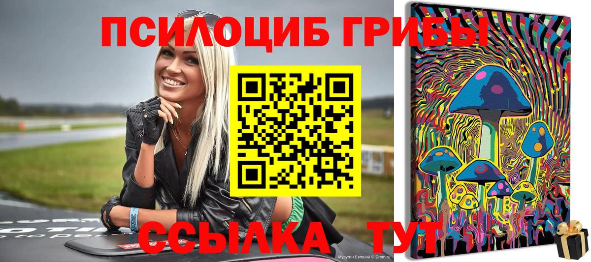Галлюциногенные грибы Psilocybe  Вход с VPN  Моздок  Галлюциногенные грибы ЛСД 